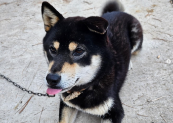 💛인카 IMC 지사장님들 워크샵💛