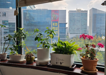 ✨사장님들의 취미가 가득 담긴 테라스✨